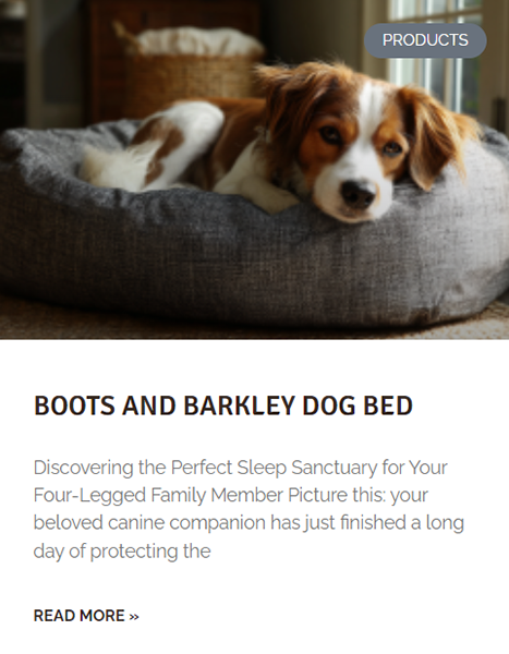 Boots & Barkley -Boots & Barkley 6ca0eaab535648730fb691b98df867d7