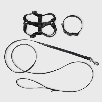 Basic Walk Dog Walk Collar Harness Leash Set - Boots & Barkley™ 3pc 4 Basic Walk Dog Walk Collar Harness Leash Set - Boots & Barkley™ 3pc - Image 4