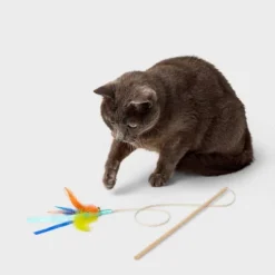 15.6" Feather Wand Cat Toy - Boots & Barkley™