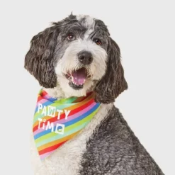 Birthday Reversible Dog Bandana - Boots & Barkley™ White One Size Fits Most 7 Birthday Reversible Dog Bandana - Boots & Barkley™ White One Size Fits Most -Boots & Barkley GUEST 0f2e6b43 0c5c 43a6 bf0f 63b2498ebfc9