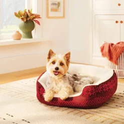 Printed Holiday Bolster Dog Bed - Boots & Barkley™ -Boots & Barkley GUEST 198ac429 17d3 4e9e 9f78 b9194cec54c3