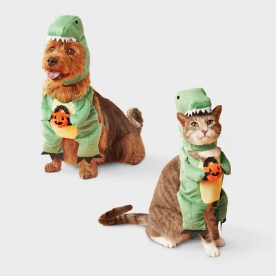 Dino With Pumpkin T-Rex Pail Dog And Cat Frontal Costume - Boots & Barkley™ Light Green 6 Dino With Pumpkin T-Rex Pail Dog And Cat Frontal Costume - Boots & Barkley™ Light Green - Image 6