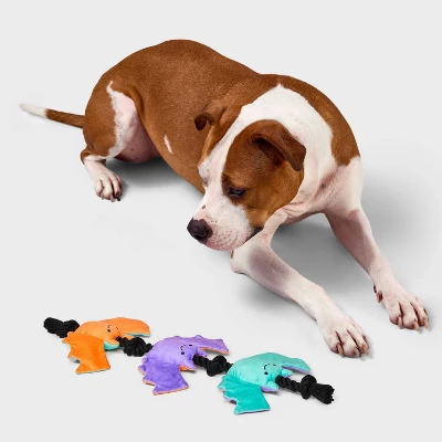 16.77" Bats Dog Rope Toy - Boots & Barkley™ 1 16.77" Bats Dog Rope Toy - Boots & Barkley™