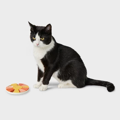 Sunshine Treat Interactive Puzzle Cat Toy - Boots & Barkley™ 1 Sunshine Treat Interactive Puzzle Cat Toy - Boots & Barkley™