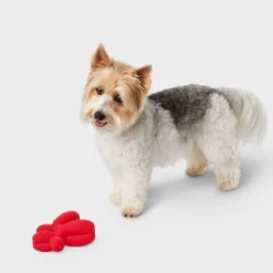 Tough Rubber Balloon Plush Dog Toy - Boots & Barkley™ Red