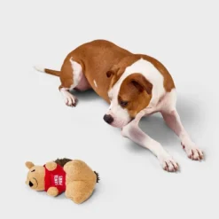 Squirrel Plush Dog Toy - Boots & Barkley™