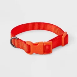 Basic Adjustable With Color Matching Buckle Dog And Cat Collar - Boots & Barkley™ Bright Orange -Boots & Barkley GUEST 3a700bf3 5d42 4d16 8670 cebeed0e29bd