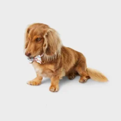 Multistripe Dog And Cat Bowtie - Boots & Barkley™ One Size Fits Most 5 Multistripe Dog And Cat Bowtie - Boots & Barkley™ One Size Fits Most -Boots & Barkley GUEST 4562aaf3 c277 4f81 be55 f60adc875616