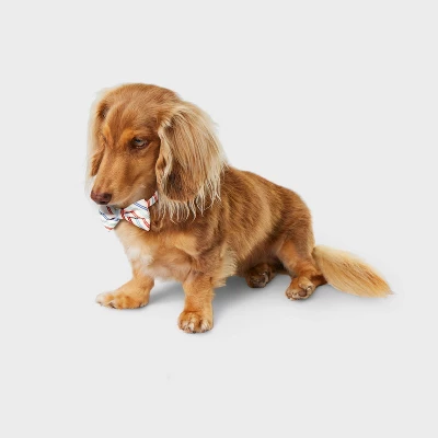 Multistripe Dog And Cat Bowtie - Boots & Barkley™ One Size Fits Most 3 Multistripe Dog And Cat Bowtie - Boots & Barkley™ One Size Fits Most - Image 3