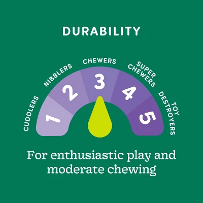 Nubby Seaweed Rubber Tough Chew Bone Dog Toy - Boots & Barkley™ 3 Nubby Seaweed Rubber Tough Chew Bone Dog Toy - Boots & Barkley™ - Image 3