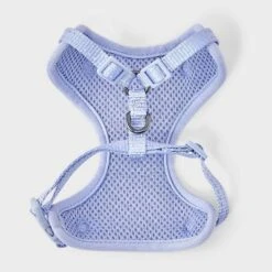 Cat Leash And Harness Tether Set - 2pc - Lilac Purple - Boots & Barkley™