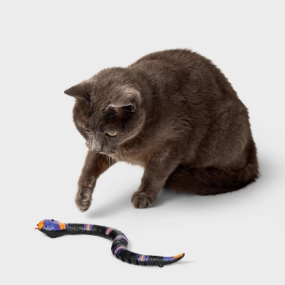 Electronic Snake Cat Mechanical Toy - Boots & Barkley™ 1 Electronic Snake Cat Mechanical Toy - Boots & Barkley™
