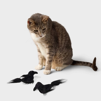 Ravens Cat Plush Toy Set - 2pk - Boots & Barkley™ 1 Ravens Cat Plush Toy Set - 2pk - Boots & Barkley™