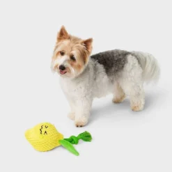 7.5" Lemon Dog Rope Plush Toy - Boots & Barkley™