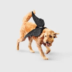 Raven Wings Dog Costume Accessories - Boots & Barkley™ -Boots & Barkley GUEST 610a89b6 33fb 4968 99ce 620967b33bb8