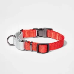 Martingale With Buckle Dog Collar - Tomato/Silver - Boots & Barkley™