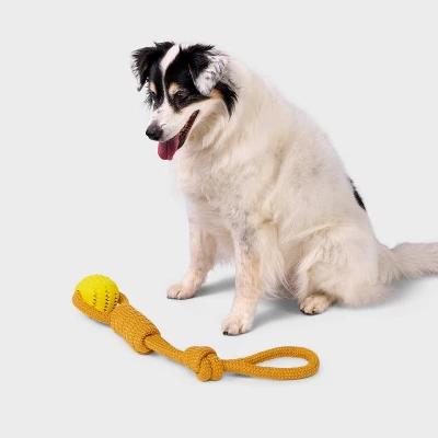 14" Rope With Ball Dog Toy - Boots & Barkley™ Yellow 1 14" Rope With Ball Dog Toy - Boots & Barkley™ Yellow