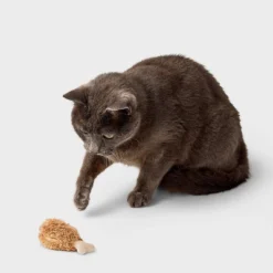 Chicken Drummy Refillable Catnip Cat Plush Toy Set - 2pc - Boots & Barkley™