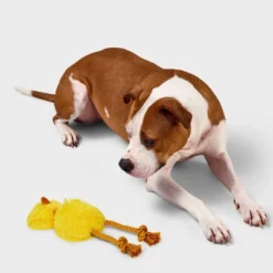 3.51" Emu Dog Rope Plush Toy - Boots & Barkley™ Yellow