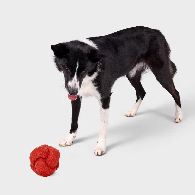 Plush Treat Dispenser Dog Toy - Boots & Barkley™ Terracotta Orange 1 Plush Treat Dispenser Dog Toy - Boots & Barkley™ Terracotta Orange