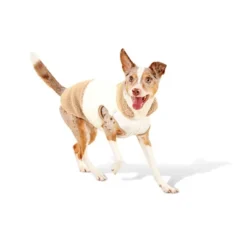 Faux Shearling Neutral Dog Vest - Boots & Barkley™ -Boots & Barkley GUEST 9c6ef477 9630 45c2 81b4 433e43c196d1