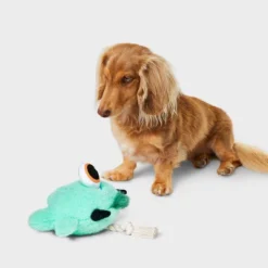 7.125" Monster Combo Dog Rope Plush Toy - Boots & Barkley™