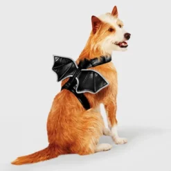 Bat Wings Rider Reflective Halloween Dog And Cat Costume - Boots & Barkley™ -Boots & Barkley GUEST acd5c4bc fe5b 41e3 b45e 2345fb83eefe