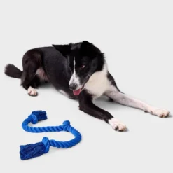 36" Rope Dog Toy - Boots & Barkley™ Blue