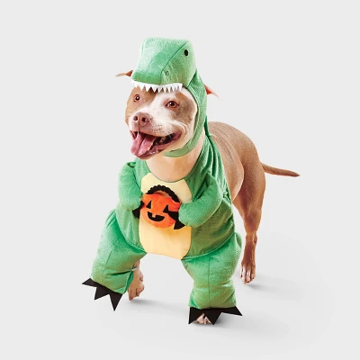 Dino With Pumpkin T-Rex Pail Dog And Cat Frontal Costume - Boots & Barkley™ Light Green 8 Dino With Pumpkin T-Rex Pail Dog And Cat Frontal Costume - Boots & Barkley™ Light Green - Image 8