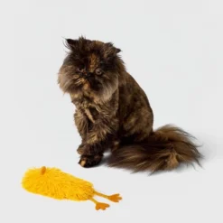 Chicken Catnip Kicker Cat Plush Toy - Boots & Barkley™