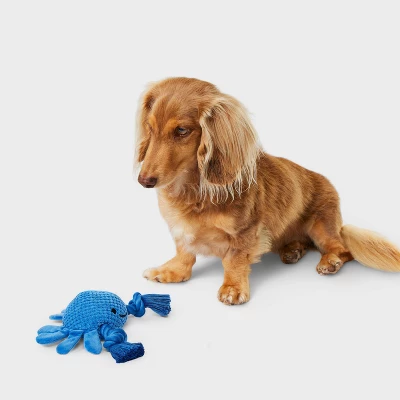 8.5" Blue Crab Dog Rope Plush Toy - Boots & Barkley™ 1 8.5" Blue Crab Dog Rope Plush Toy - Boots & Barkley™