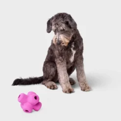 Tough Rubber Jack Interactive Treat Dispenser Dog Toy - Boots & Barkley™ Purple