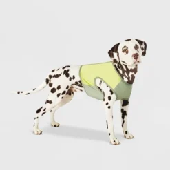 Spacer & Mesh With Zipper Centerback Cooling Dog And Cat Vest - Green - Boots & Barkley™ -Boots & Barkley GUEST cf295735 7d16 43fd b7cd 3bd9481da610