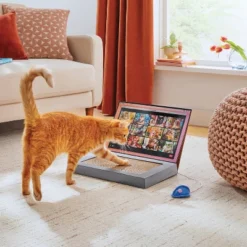 Boots & Barkley 9 Boots & Barkley -Boots & Barkley GUEST d8e3b082 bca8 4ff7 ab29 fadb942c5447