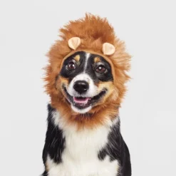Lion Halloween Dog And Cat Headwear - Boots & Barkley™ -Boots & Barkley GUEST da7bd3d5 d186 4829 8b6a bca45f00ddfe