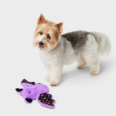 Crinkle Bat Dog Plush Toy - Boots & Barkley™ 1 Crinkle Bat Dog Plush Toy - Boots & Barkley™