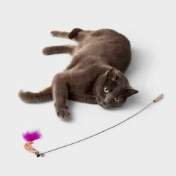 31" Figural Wand Wire Cat Teaser Toy - Boots & Barkley™