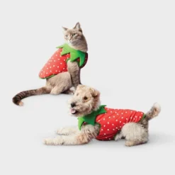 Reflective Strawberry Dog Vest - Boots & Barkley™ Cherry Red -Boots & Barkley GUEST fa795d29 35eb 4001 a261 4411419a7a72