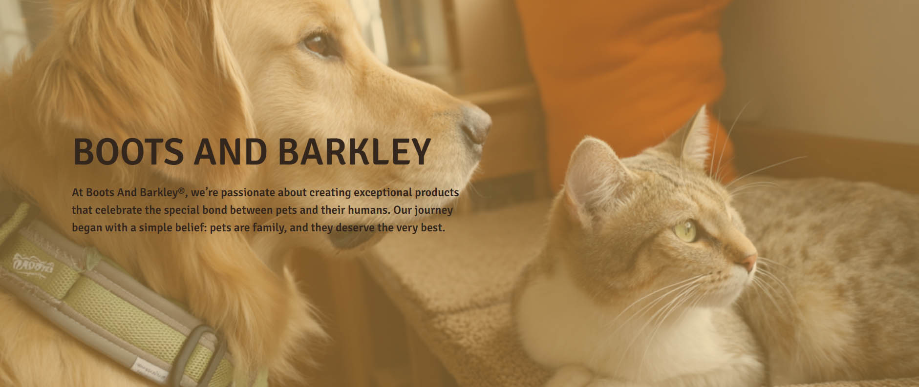 Boots & Barkley -Boots & Barkley dfgdfg