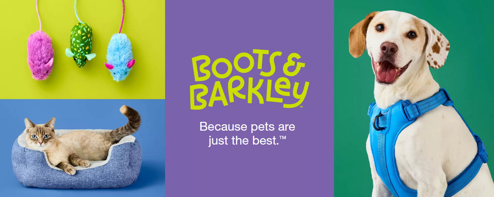 Boots & Barkley -Boots & Barkley gfjghj