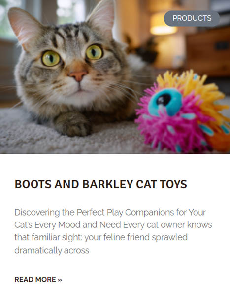 Boots & Barkley -Boots & Barkley rftyty